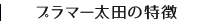 プラマー大田の特徴